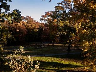 Natural beauty was the feature that first attracted 19th-century park reformers to the area now known as Pelham Bay Park. (pelhambaypark.org)