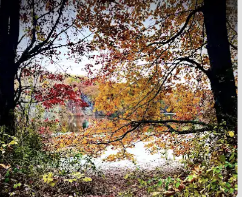 Rockefeller State Park